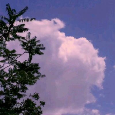 steam助手app下载